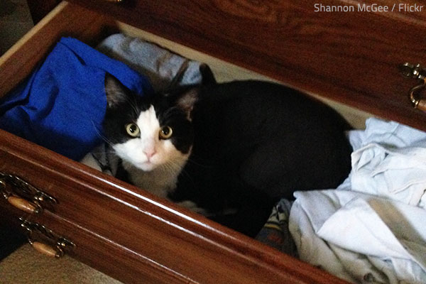 It's recommendable to empty drawers when moving.