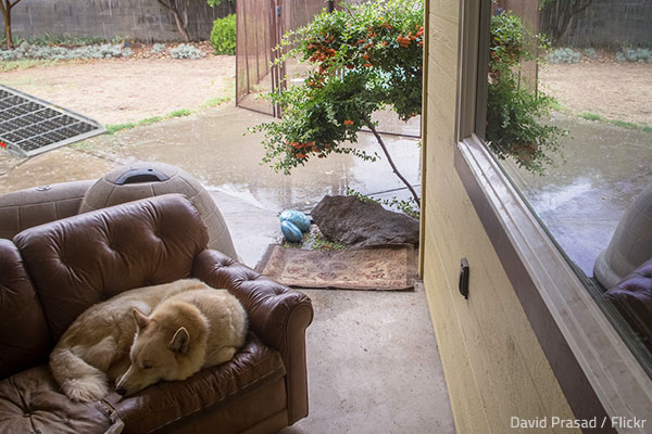 Moving furniture in the rain is quite a challenge.