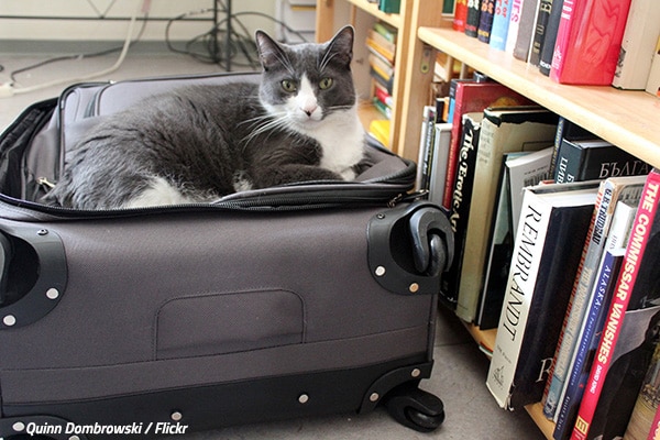 free packing supplies