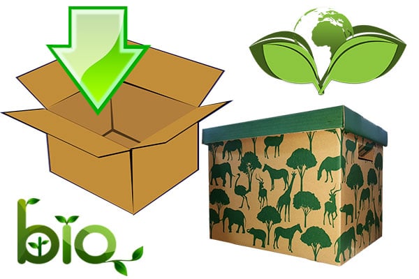 Green packing materials for moving.