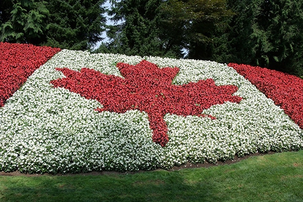 How to move to Canada from the United States?