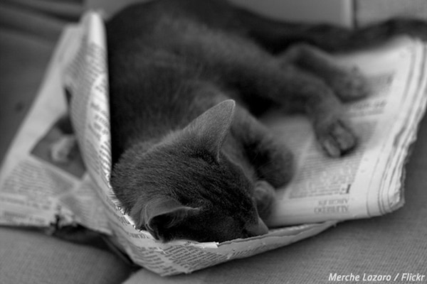 How to pack with newspaper