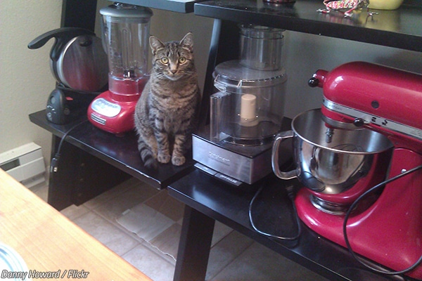 How to pack small kitchen appliances