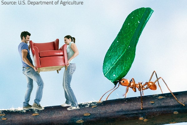 Some things are more difficult to move than others.