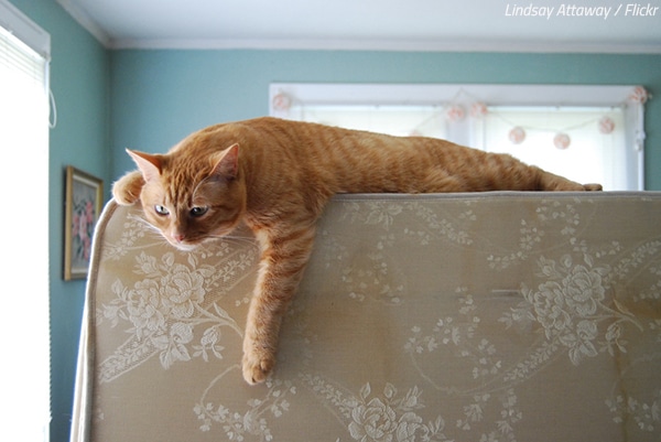 Is it worth moving a mattress?