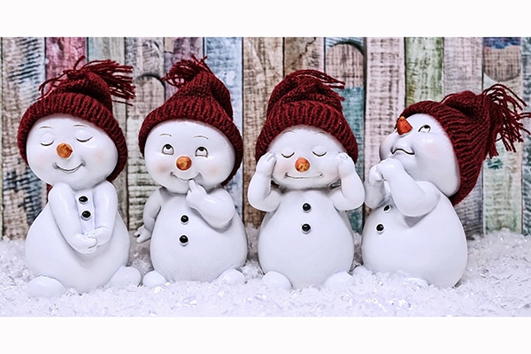 How to move house in the snow