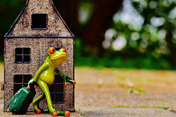 Necessities when moving out for the first time