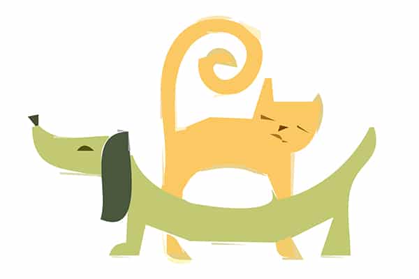 How to pet proof a home after moving