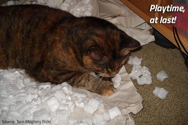 Hvae fun but be prudent when disposing of packing materials after a move.