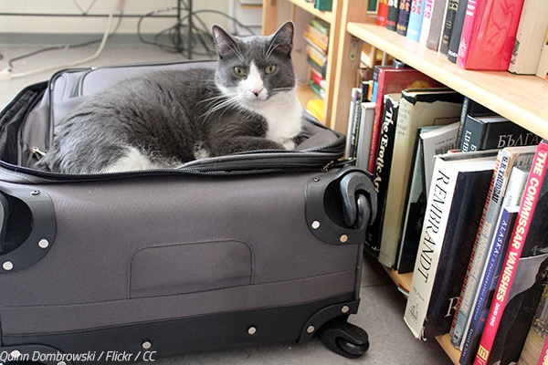 What to pack in a suitcase when moving?