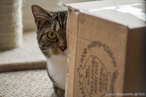 What to do 3 weeks before moving day