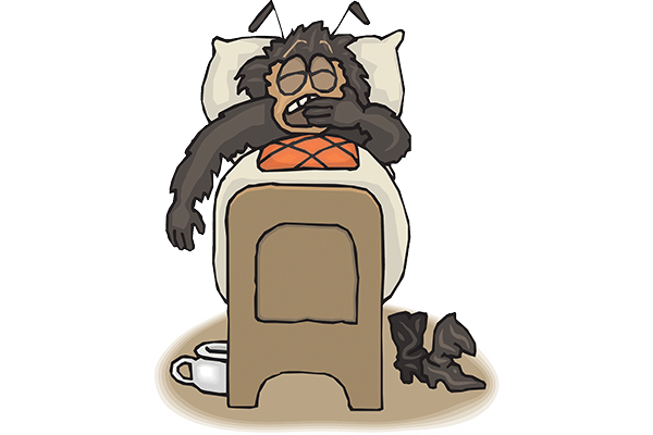 Preventing bed bugs when moving